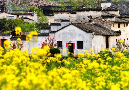 婺源風(fēng)景