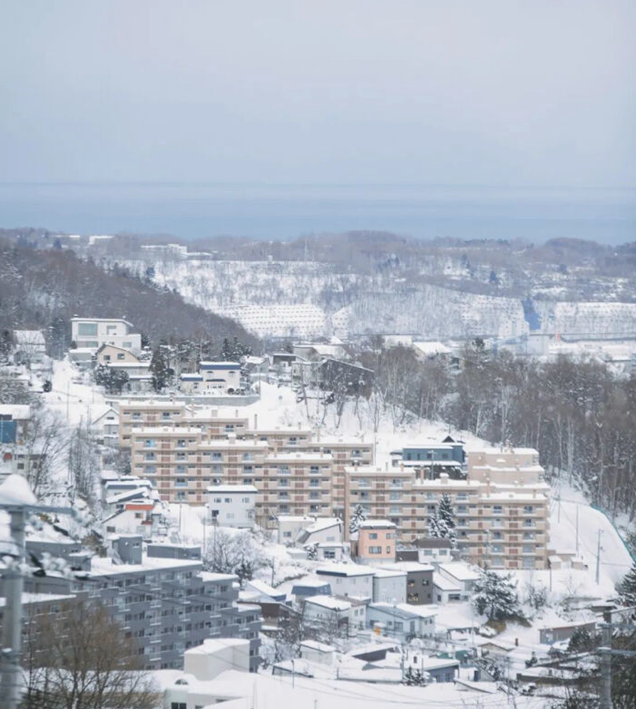 正在播放《十二月的雪》